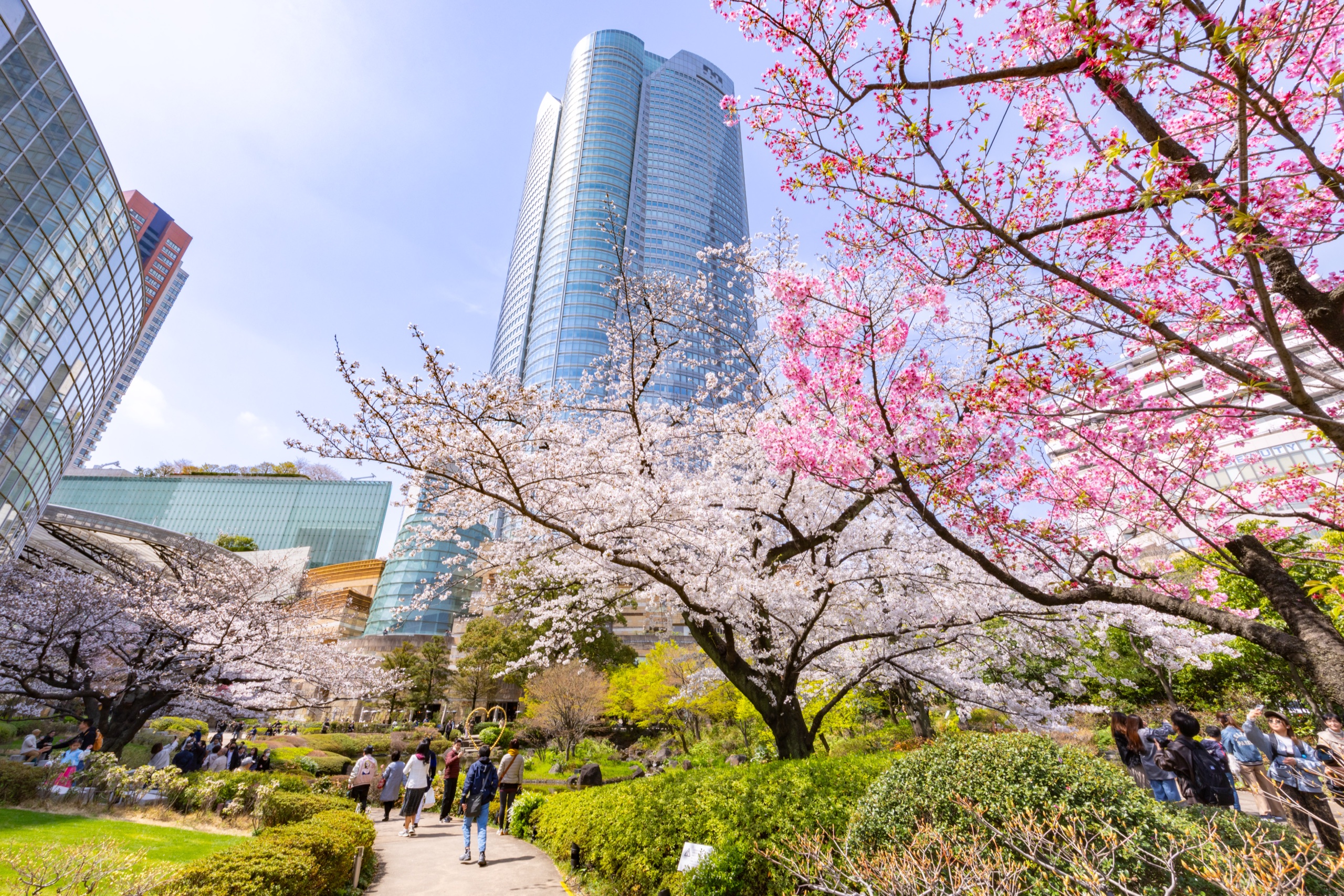 Roppongi Hills Sakura